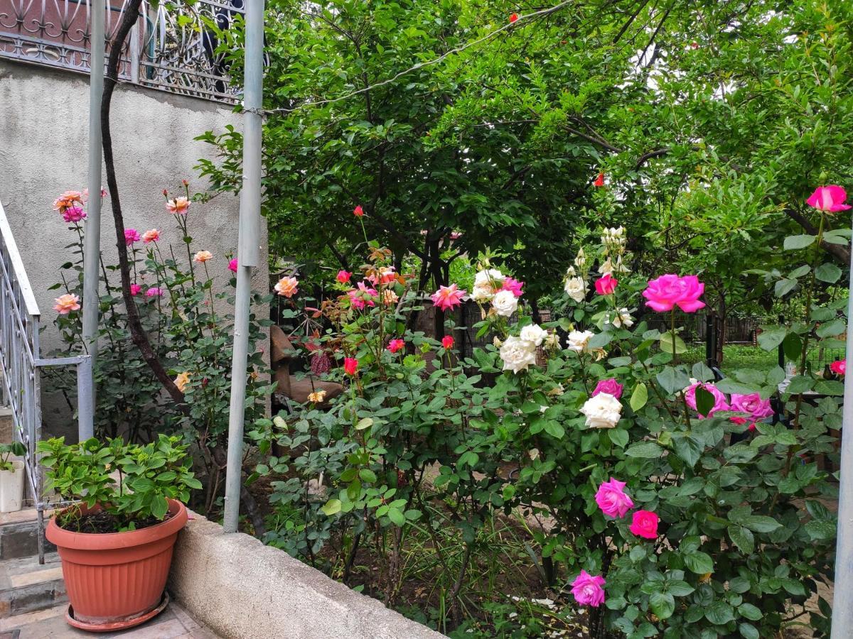 Guesthouse Ttt Tbilisi Eksteriør bilde