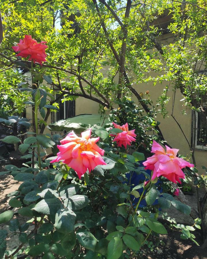 Guesthouse Ttt Tbilisi Eksteriør bilde