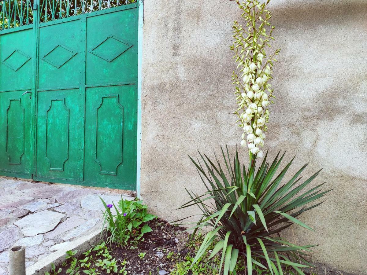 Guesthouse Ttt Tbilisi Eksteriør bilde